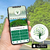 APP - ARBORIZA BRASIL (IOS)