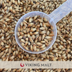 MALTE CARAMEL 200 • VIKING