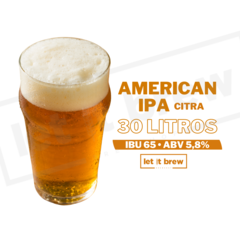 KIT DE INSUMOS AMERICAN IPA CITRA • 30 LITROS