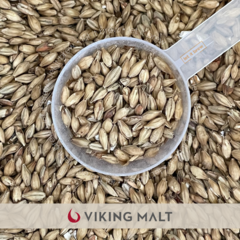 MALTE MUNICH LIGHT • VIKING