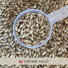 MALTE PALE ALE • VIKING