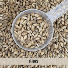 MALTE PILSEN • RAOS