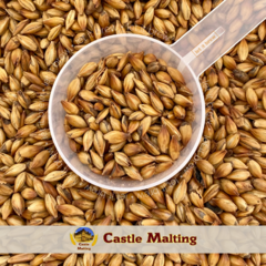 MALTE CHATEAU SPECIAL B • CASTLE MALTING