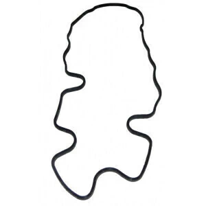 JUNTA DA TAMPA DE VÁLVULA PARA DEFENDER (ORIGINAL MWM INTERNATIONAL) - 70490309E