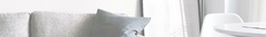 Banner de la categoría Aromatizadores