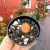 Astrophytum Asterias Variegata 'Candy'- N03 - comprar online