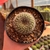 Rebutia Lilacinorosea - Pote 11 na internet