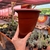Vaso de parede plástico - Cuia 30 vertical - loja online