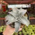 Dyckia Marnier Lapostollei