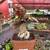 Euphorbia Francoisii - n35 - comprar online