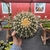 Echinocactus Grusonii - Cacto-bola, Poltrona-de-sogra - Pote 18