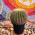 Echinocactus Grusonii - Grande - N2 - Fazenda das Suculentas