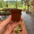 Kit Vaso de plástico - pote 6 - Fazenda das Suculentas