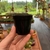 Kit Vaso de plástico - pote 6 - comprar online