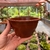 Imagem do Kit Vaso de Plástico - Cuia 13