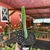 Euphorbia Boranensis - loja online