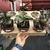 Euphorbia Francoisii - KIT 5 - comprar online