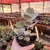 Kalanchoe Bracteata - Suculenta Colher de Prata