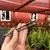 Pinça de aço inox para jardinagem