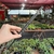 Pinça grande de aço inox para jardinagem - 30cm - comprar online