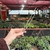 Pinça grande de aço inox para jardinagem - 30cm na internet
