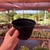 Vaso de plástico - pote 11 - Fazenda das Suculentas
