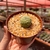 Pseudolithos Migiurtinus na internet