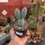 Tephrocactus Articulatus - Fazenda das Suculentas