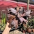 Echeveria Gibbiflora Thanos - 03 - comprar online