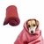 Manta Polar Lisa para Mascotas - Tienda para Mascotas