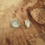 Brinco Abrolhos Selene P