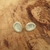 Brinco Abrolhos Selene P na internet