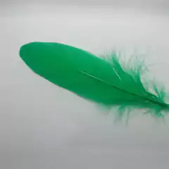 Plumas de Pato (Grande) - comprar online