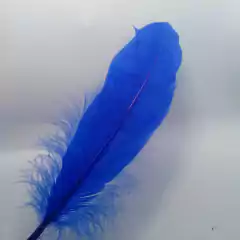 Plumas de Pato (Grande) - comprar online