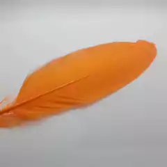 Plumas de Pato (Grande) - Verde Manzana