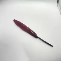 Plumas de Pato (chico) - comprar online