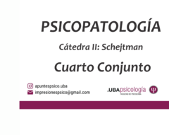 Psicopatología- Schejtman. Cuarto Conjunto en internet