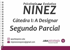 Psicología Evolutiva: Niñez - A Designar. SEGUNDO PARCIAL