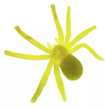 Pet Aranha