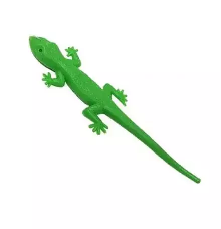 Pet Lagartixa