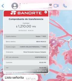 REFERENCIAS - comprar en línea