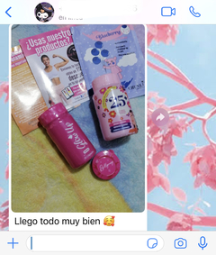 REFERENCIAS en internet