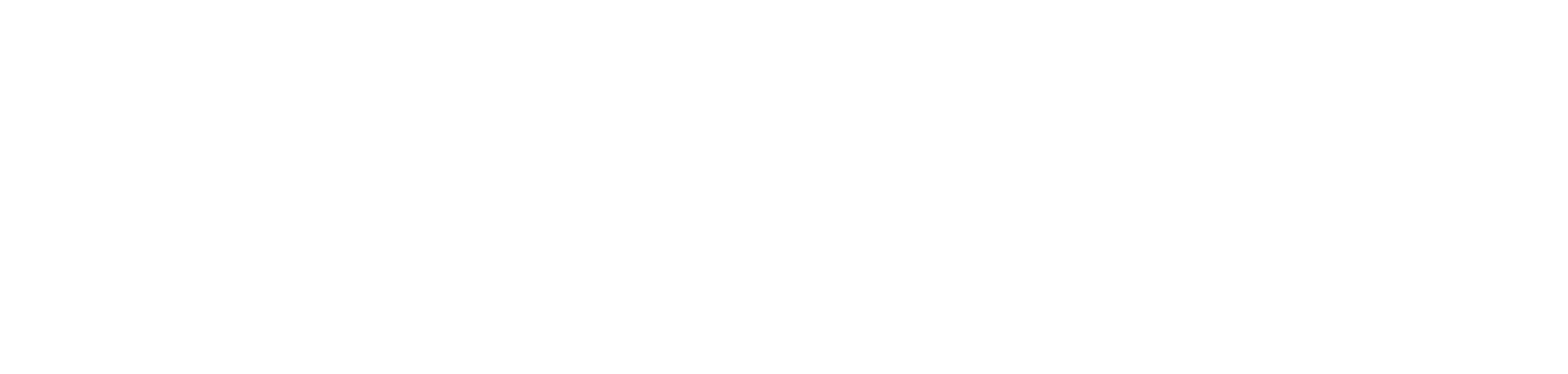 Meias Divertidas e Personalizadas - Meias Elite