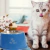 Comedouro elevado para gato filhote
