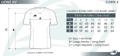 CAMISETA DE JUEGO SUDAFRICA #22 - Lions XV