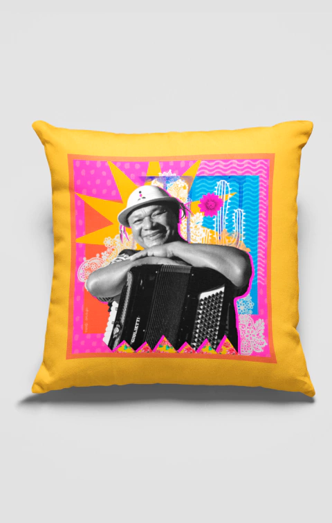 Capa de Almofada Dominguinhos