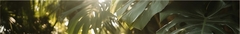Banner da categoria Acessórios