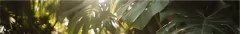 Banner da categoria Canecas