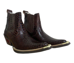 Bota Country Bico Fino Masculina Couro Botina Anaconda