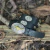 CINTO DE BOI JAKE - comprar online